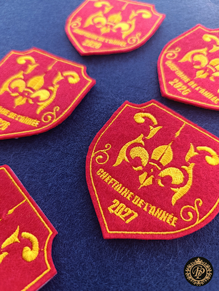 SCOUT DE FRANCE